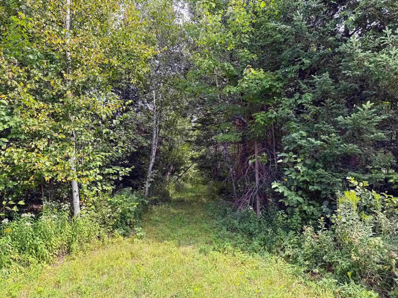 5th image of N5402 Aspen Road Road, Brantwood, WI 54513 | MLS# 22604007