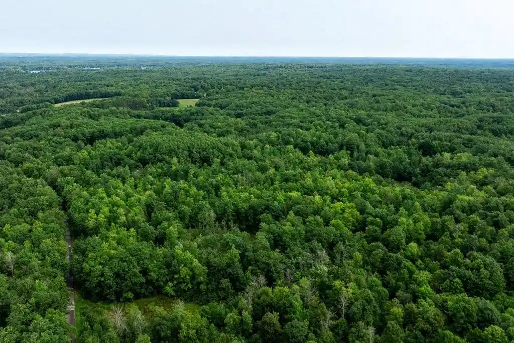 1st image of 0 290th Avenue Avenue, New Auburn, WI 54757 | MLS# 1604325
