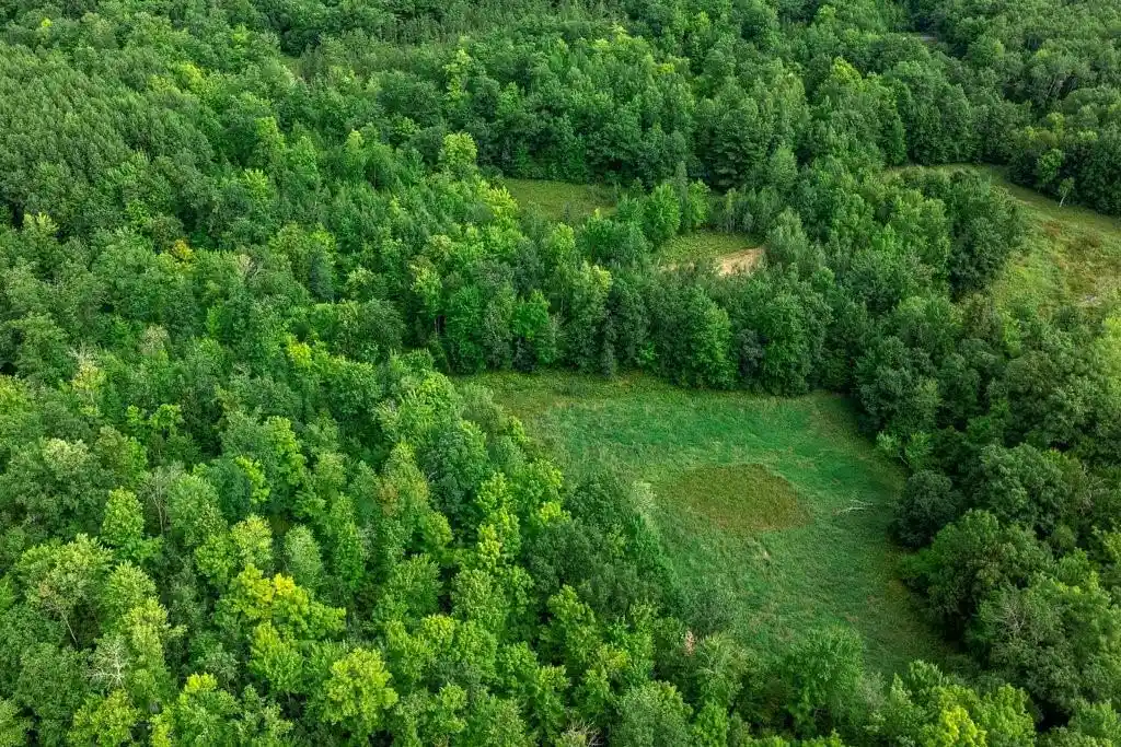 Photo 3 of Land for sale at 0 290th Avenue Avenue, New Auburn, WI 54757 | MLS# 1604325 | Listing updated on 2026-09-18