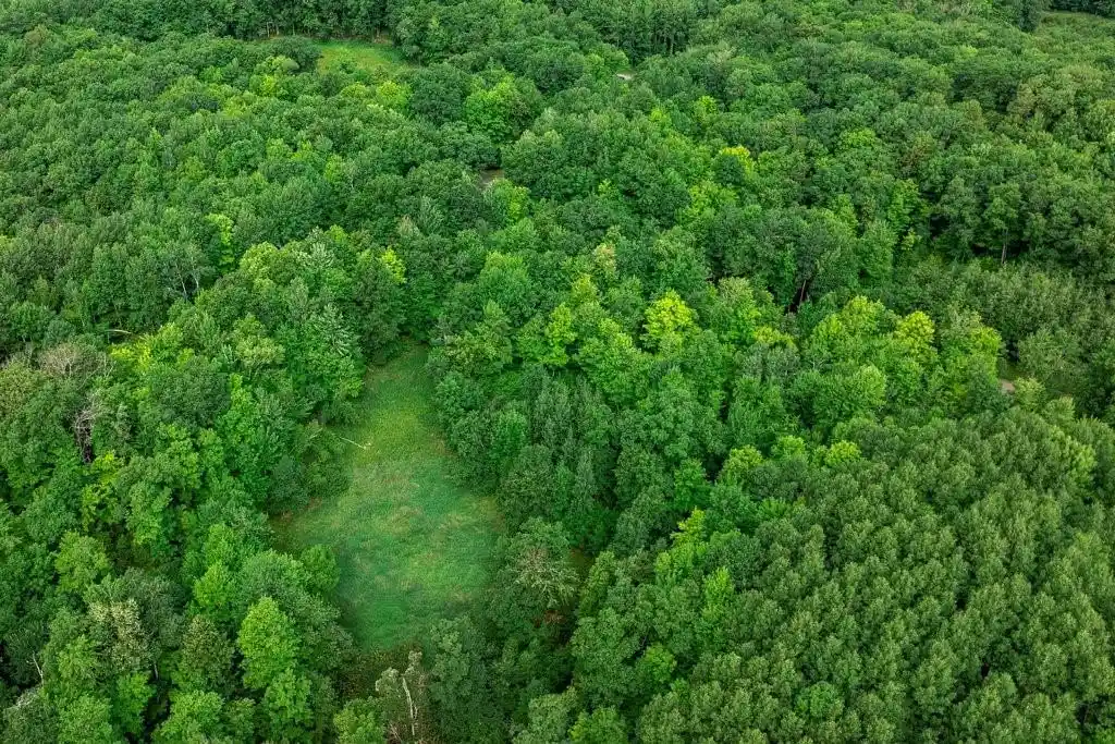 Photo 3 of Land for sale at 0 290Th Avenue Avenue, New Auburn, WI 54757 | MLS# 1604325 | Listing updated on 2026-10-08