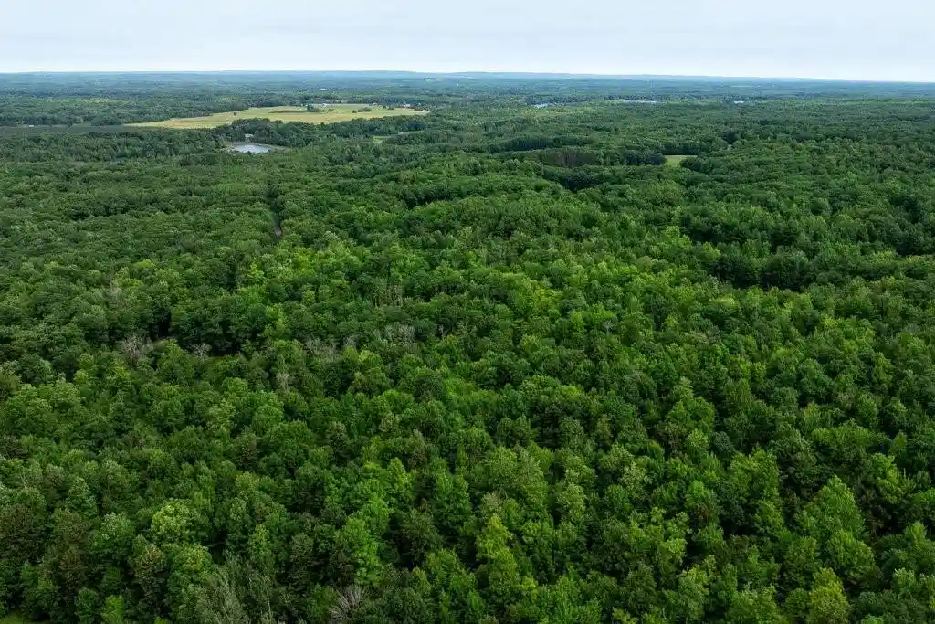 Photo 4 of Land for sale at 0 290Th Avenue Avenue, New Auburn, WI 54757 | MLS# 1604325 | Listing updated on 2026-10-08