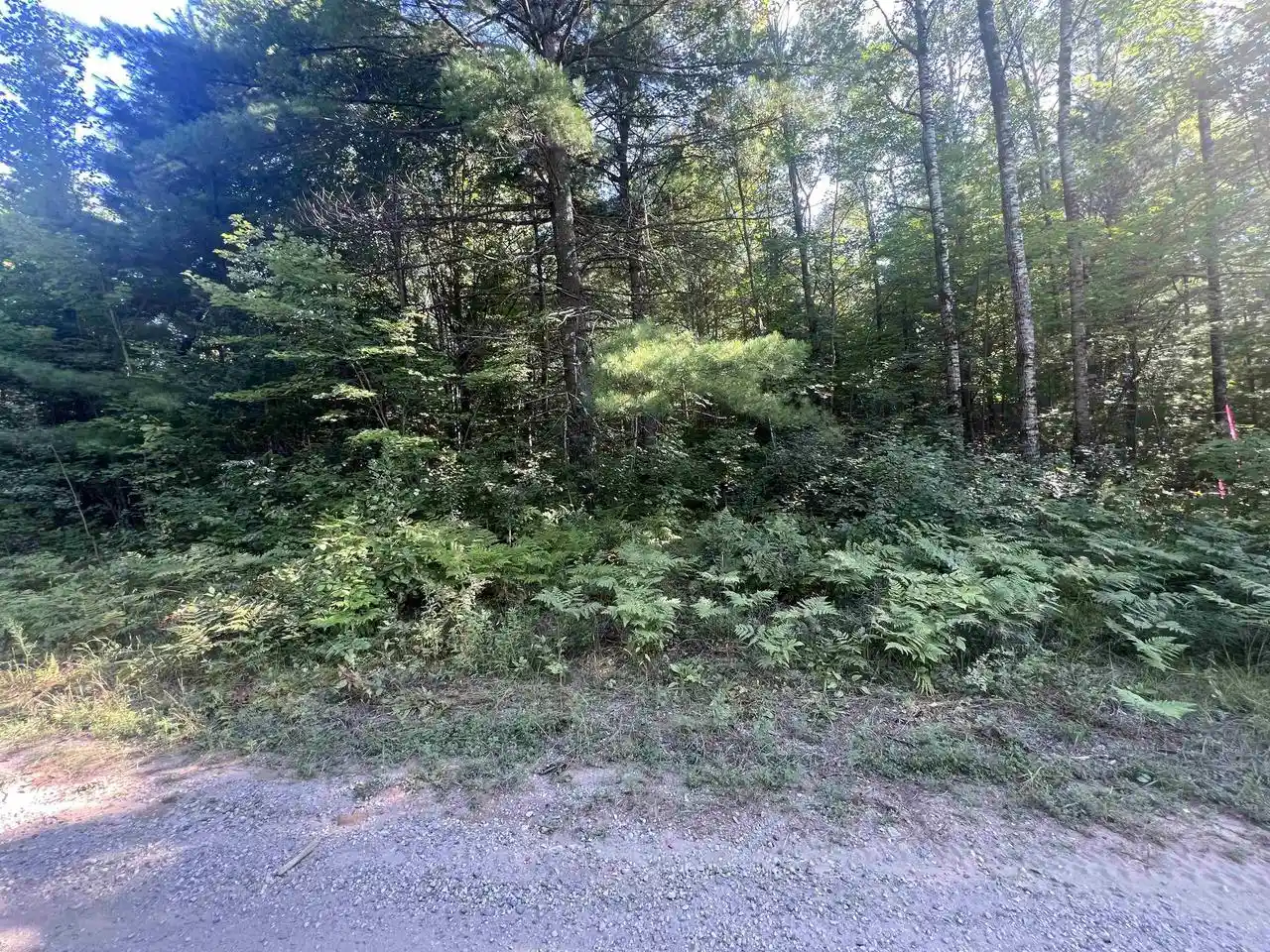 1st image of Spangenberg Road Road, Pembine, WI 54156 | MLS# 50331230