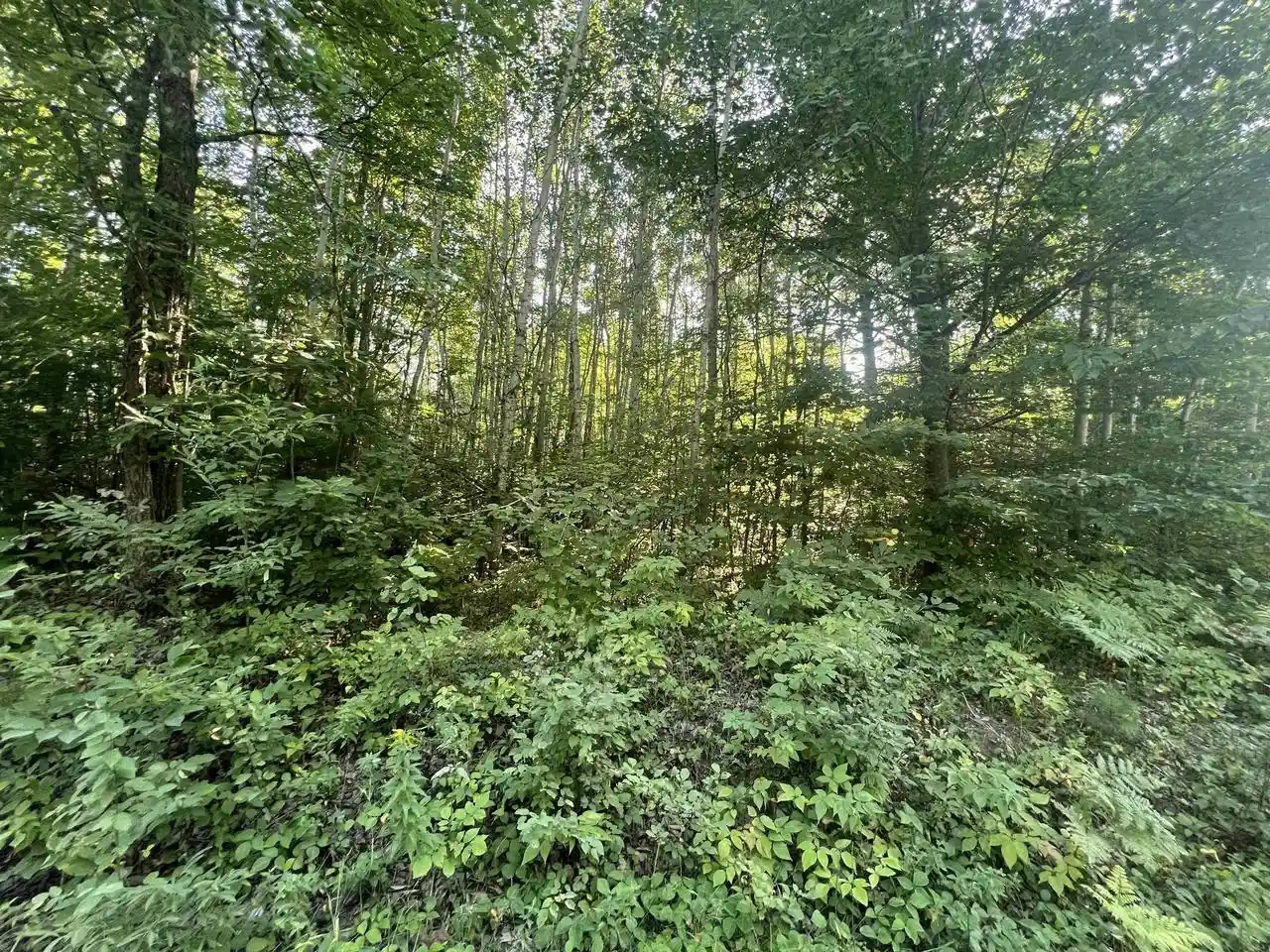 2nd image of Spangenberg Road Road, Pembine, WI 54156 | MLS# 50331230