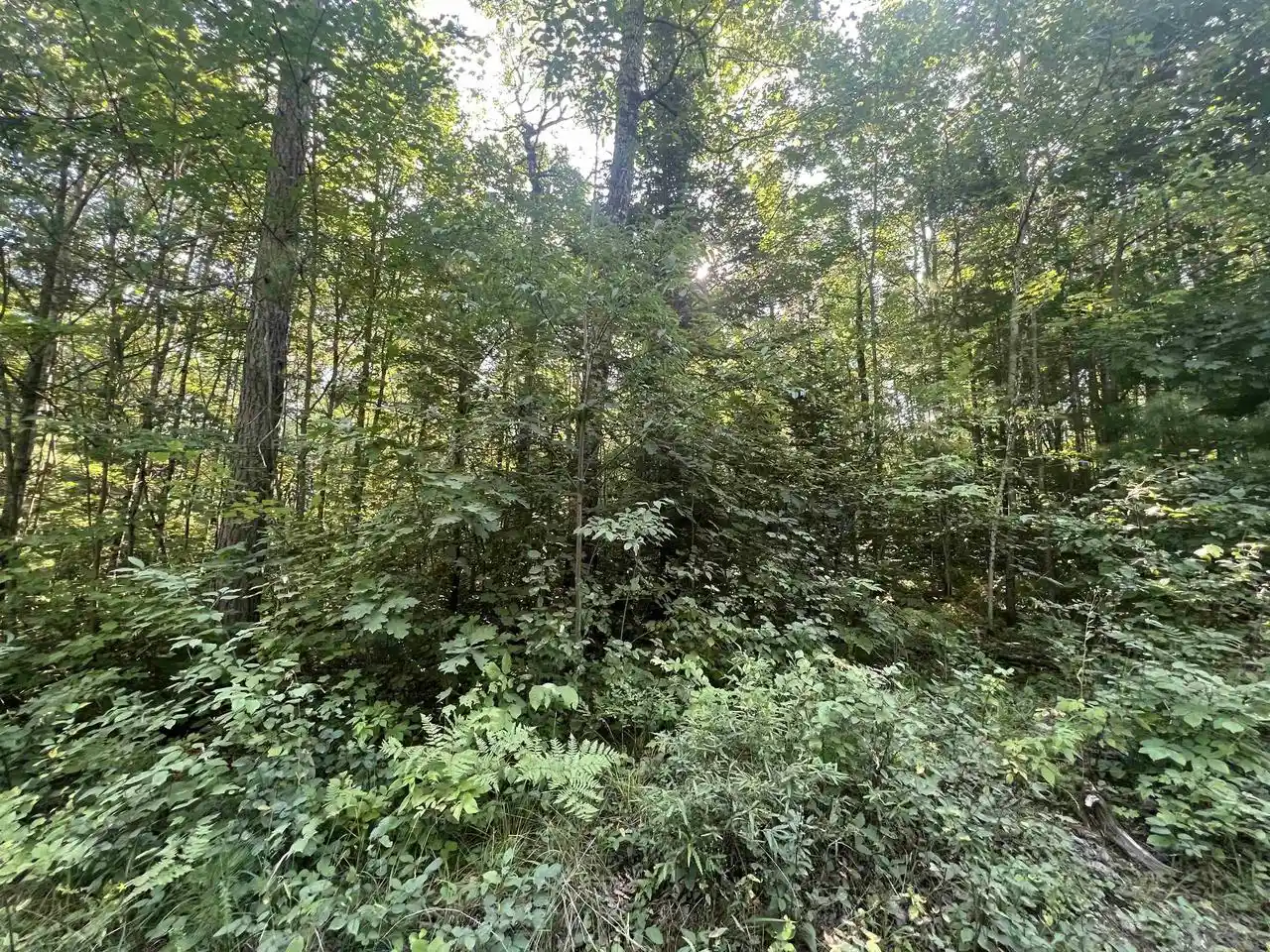 3rd image of Spangenberg Road Road, Pembine, WI 54156 | MLS# 50331230