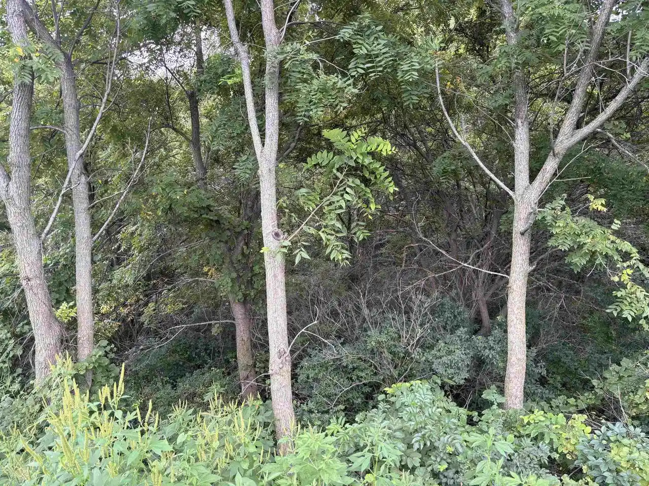 4th image of 535 Acres Seeman Road Road, Evansville, WI 53536 | MLS# 2030802