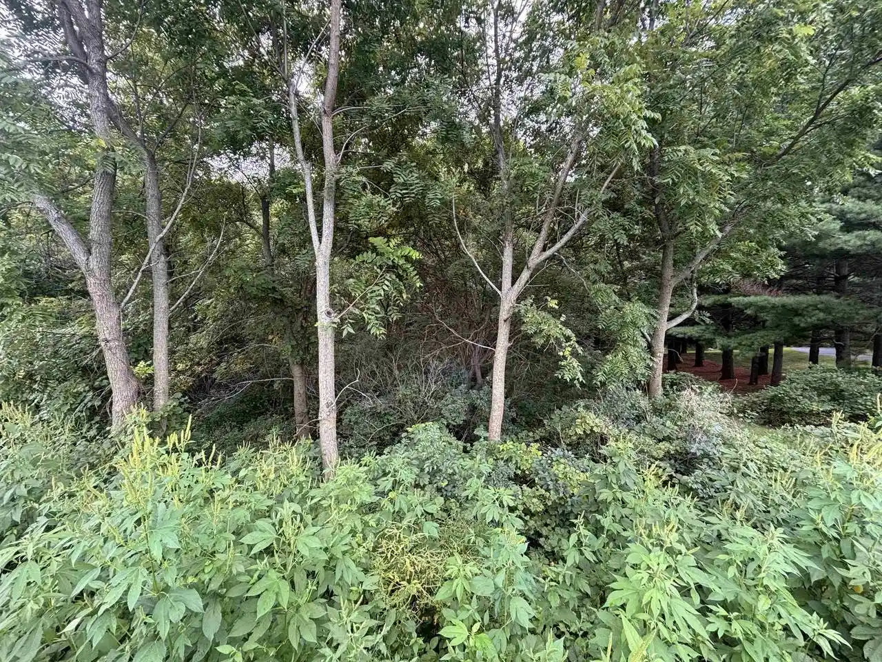 5th image of 535 Acres Seeman Road Road, Evansville, WI 53536 | MLS# 2030802