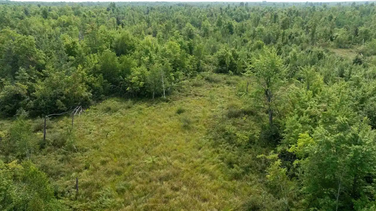 2nd image of 40 Ac 9th Ave Acres Acres, Necedah, WI 54646 | MLS# 2030807