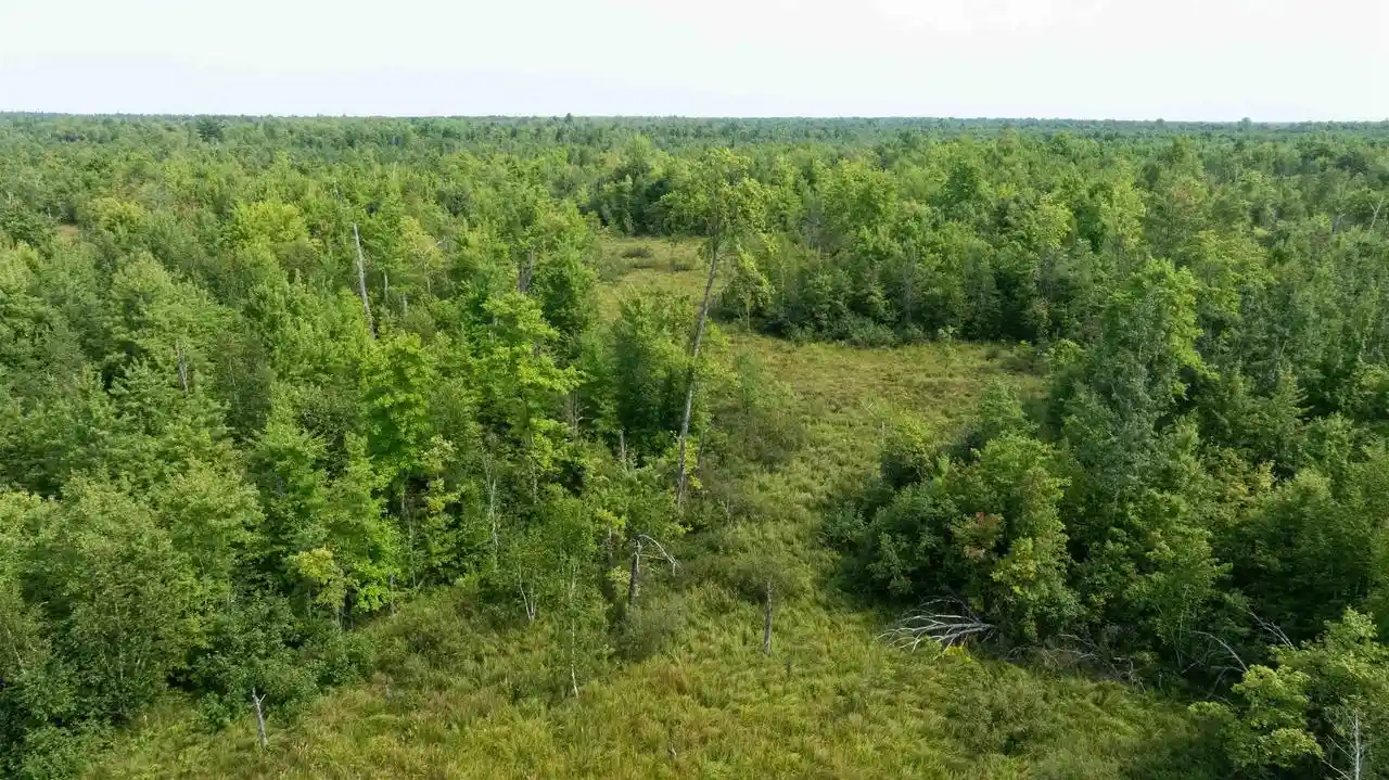 3rd image of 40 Ac 9Th Ave Acres Acres, Necedah, WI 54646 | MLS# 2030807