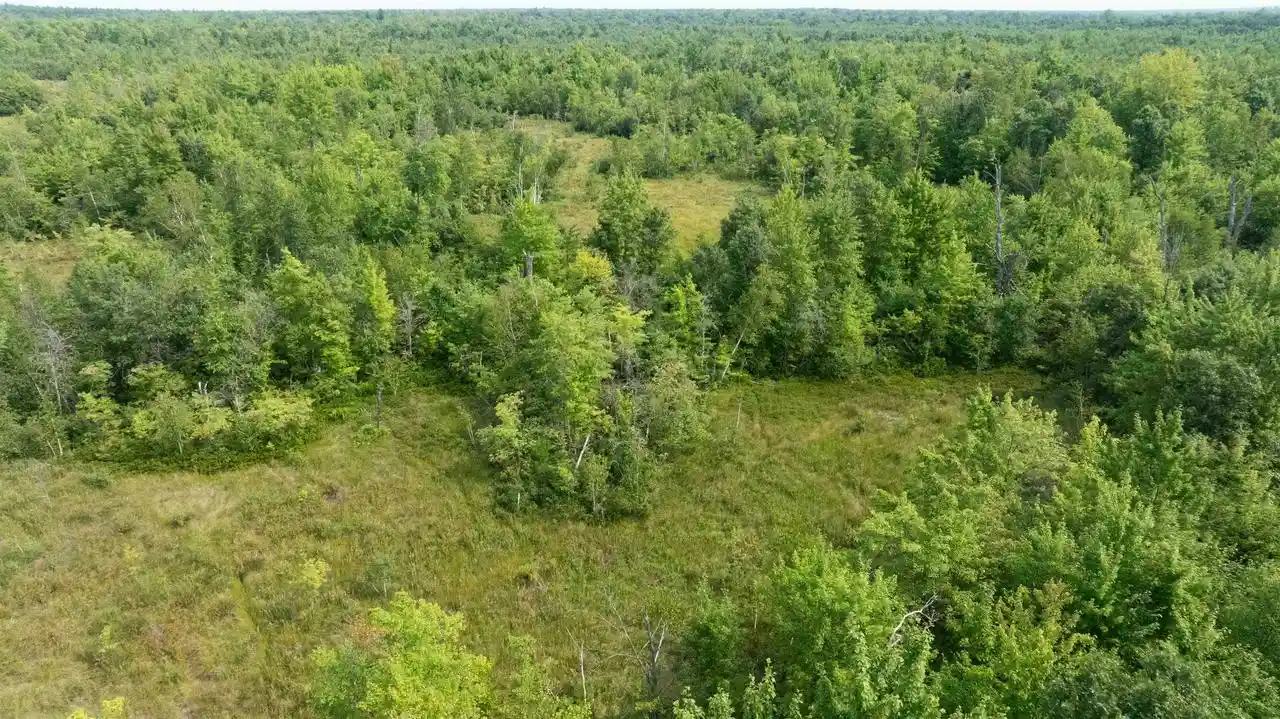 4th image of 40 Ac 9Th Ave Acres Acres, Necedah, WI 54646 | MLS# 2030807