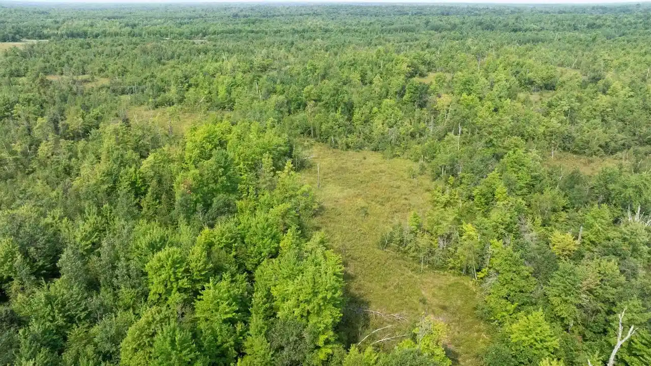 5th image of 40 Ac 9Th Ave Acres Acres, Necedah, WI 54646 | MLS# 2030807