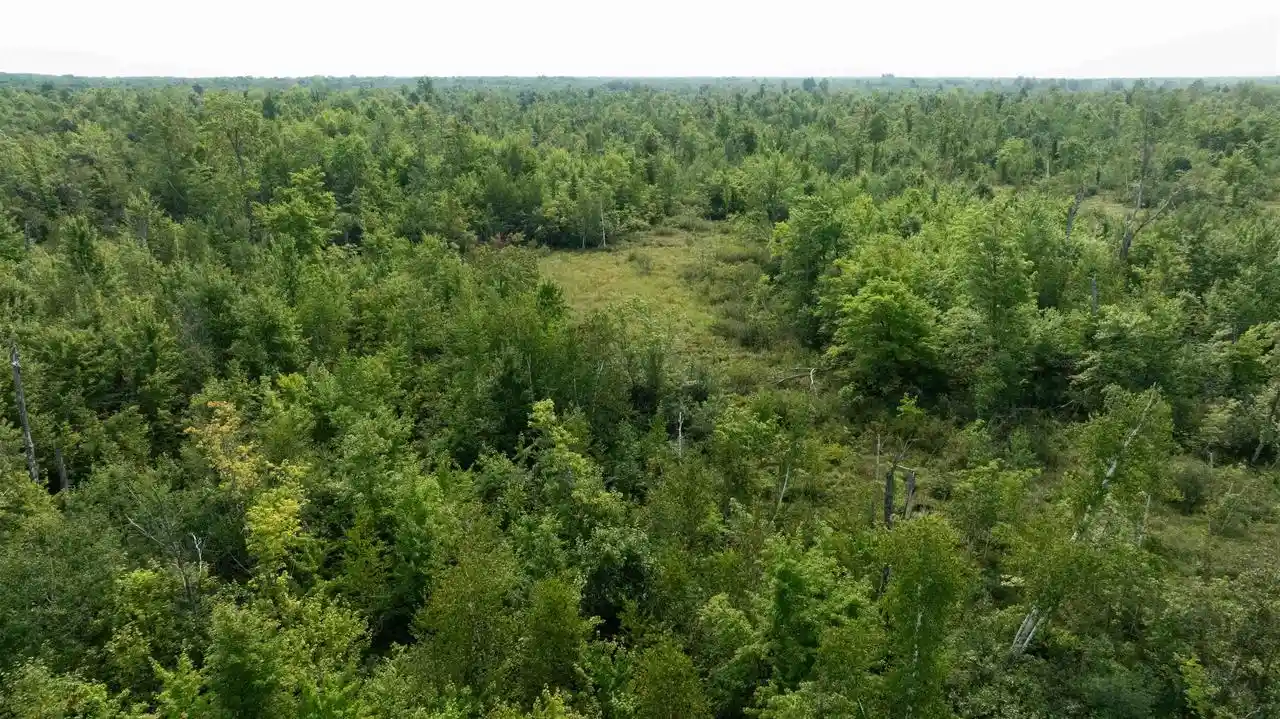 16th image of 40 Ac 9th Ave Acres Acres, Necedah, WI 54646 | MLS# 2030807