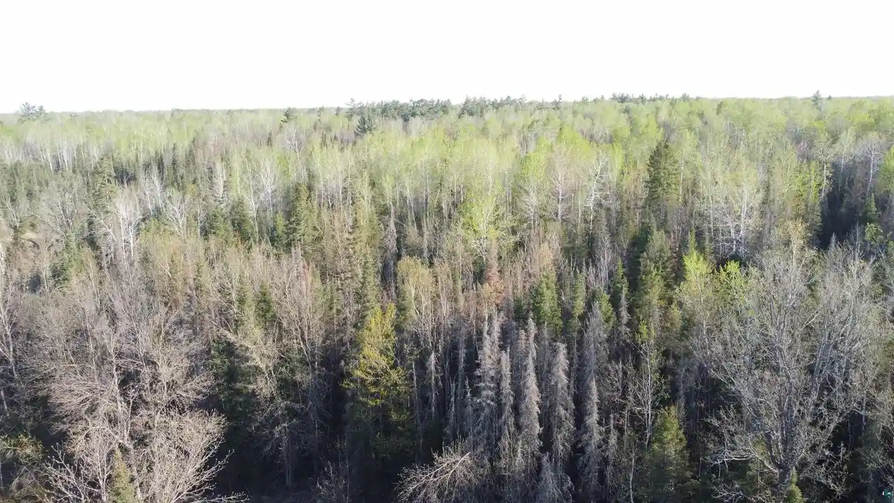 3rd image of 117X County Hwy B, Brule, WI 54820 | MLS# 6127440