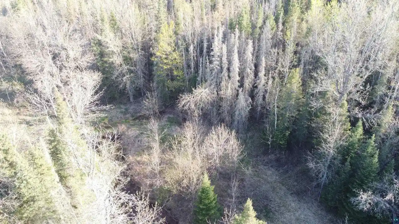 5th image of 117X County Hwy B, Brule, WI 54820 | MLS# 6127440