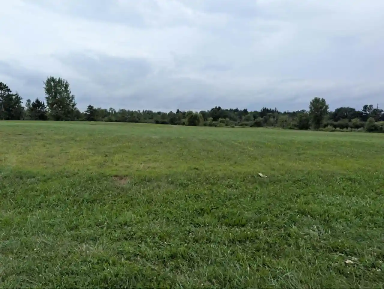 1st image of 99 Acres Buan Street Street, Tomah, WI 54660 | MLS# 2030810