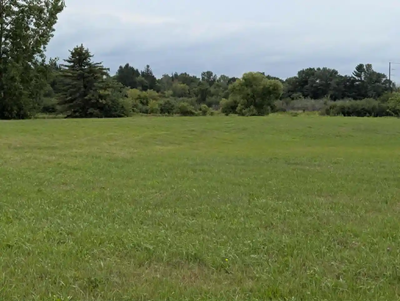 2nd image of 99 Acres Buan Street Street, Tomah, WI 54660 | MLS# 2030810