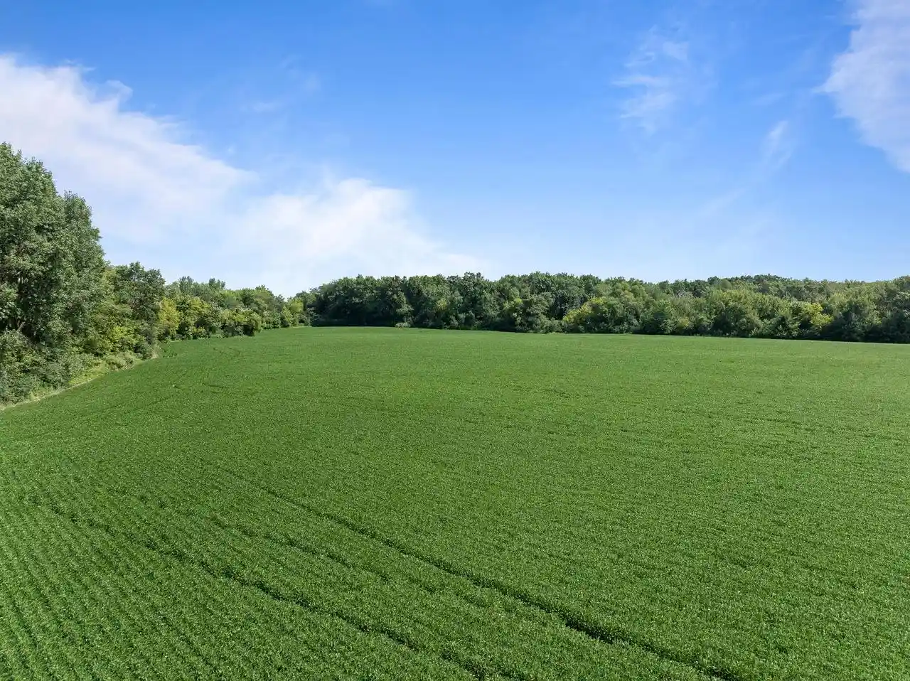 Photo 3 of Land for sale at Lt0 State Hwy 67, Lake Geneva, WI 53147 | MLS# 1976708 | Listing updated on 2026-08-19