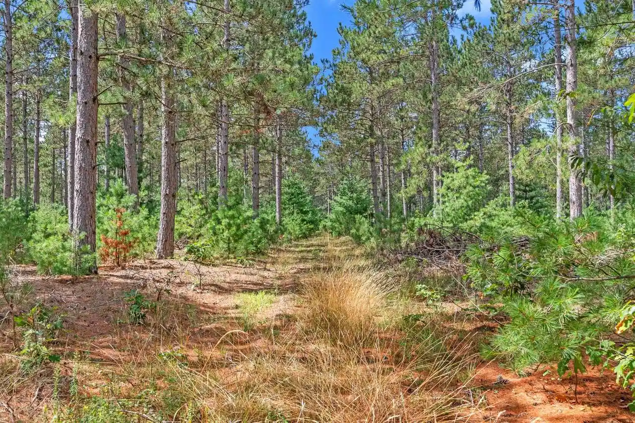 4th image of 839 8Th Dr Dr, Hancock, WI 54943 | MLS# 2030821