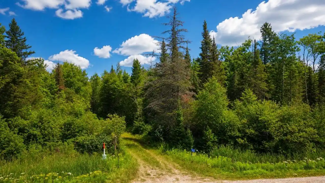 1st image of 6874 State Hwy 32, Argonne, WI 54511 | MLS# 50331253