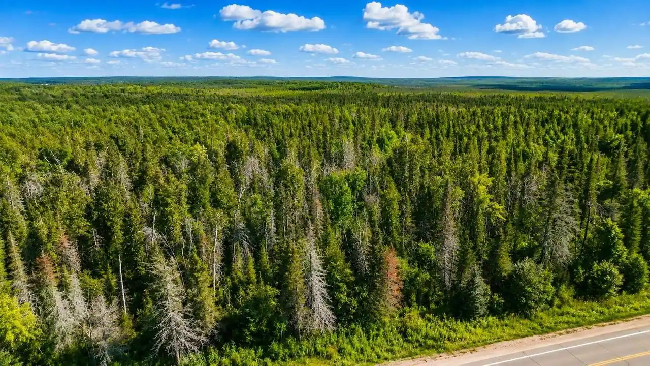 3rd image of 6874 State Hwy 32, Argonne, WI 54511 | MLS# 50331253