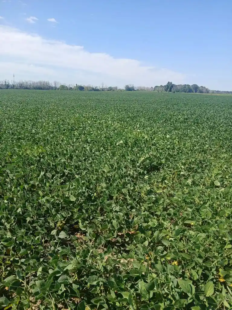 3rd image of Lt6926 County Road R, Manitowoc, WI 54220 | MLS# 1976785