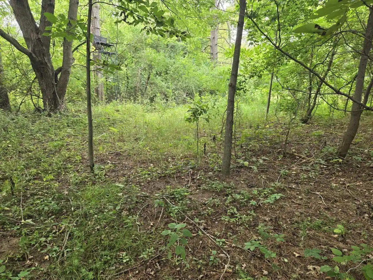 2nd image of N5721 County T Road Road, Princeton, WI 54968 | MLS# 2030858