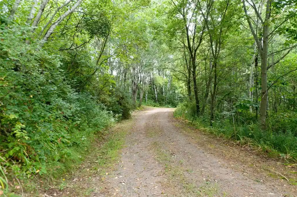 3rd image of N2387 County Hwy P, Sarona, WI 54870 | MLS# 1604210