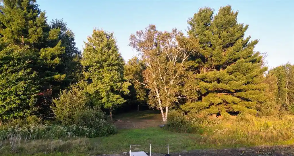 4th image of N2387 County Hwy P, Sarona, WI 54870 | MLS# 1604210