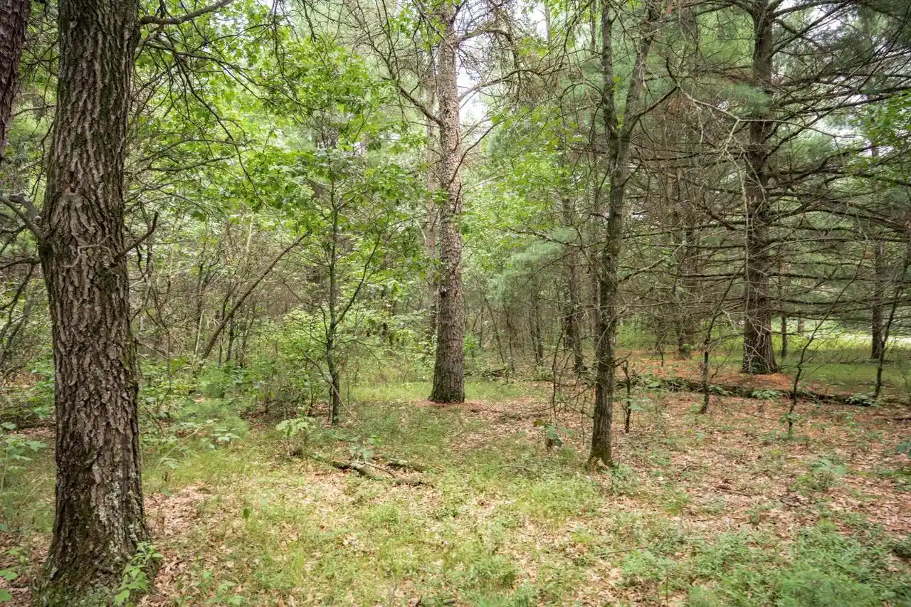 1st image of Lot 43 Morros Mile Road Road, Necedah, WI 54646 | MLS# 2030861