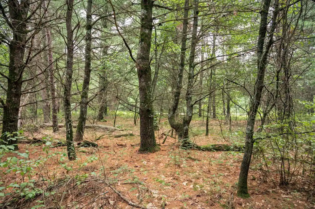 2nd image of Lot 43 Morros Mile Road Road, Necedah, WI 54646 | MLS# 2030861