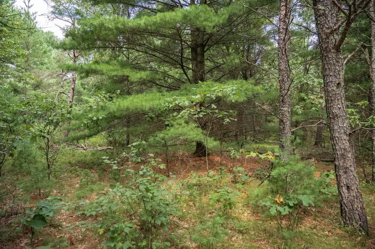 4th image of Lot 43 Morros Mile Road Road, Necedah, WI 54646 | MLS# 2030861