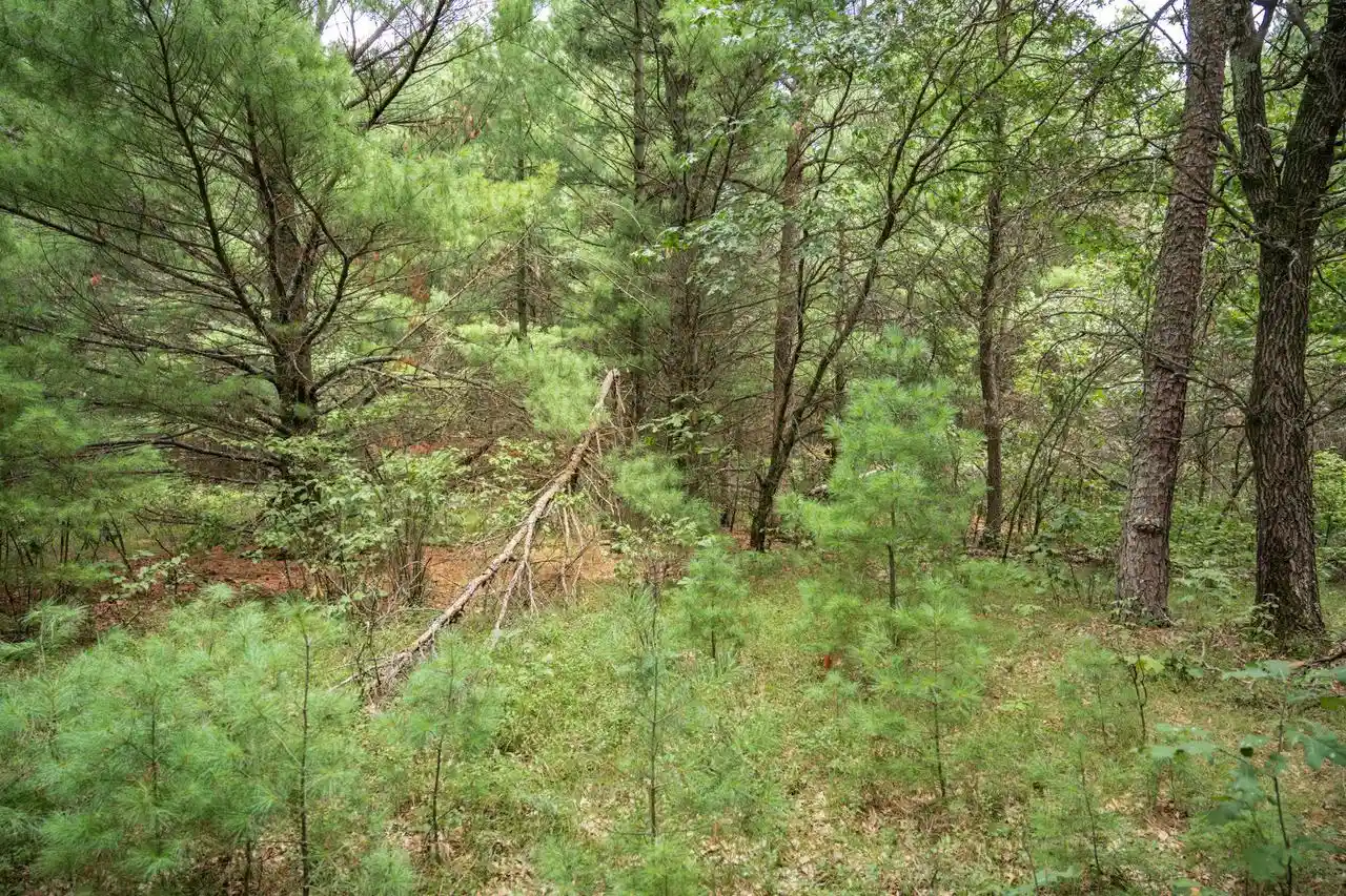 5th image of Lot 43 Morros Mile Road Road, Necedah, WI 54646 | MLS# 2030861
