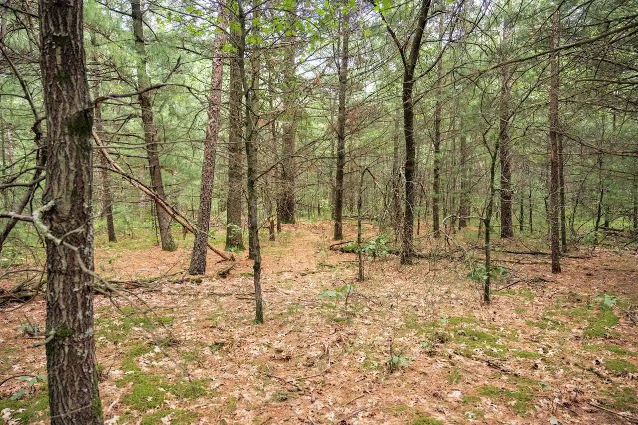 25th image of Lot 43 Morros Mile Road Road, Necedah, WI 54646 | MLS# 2030861