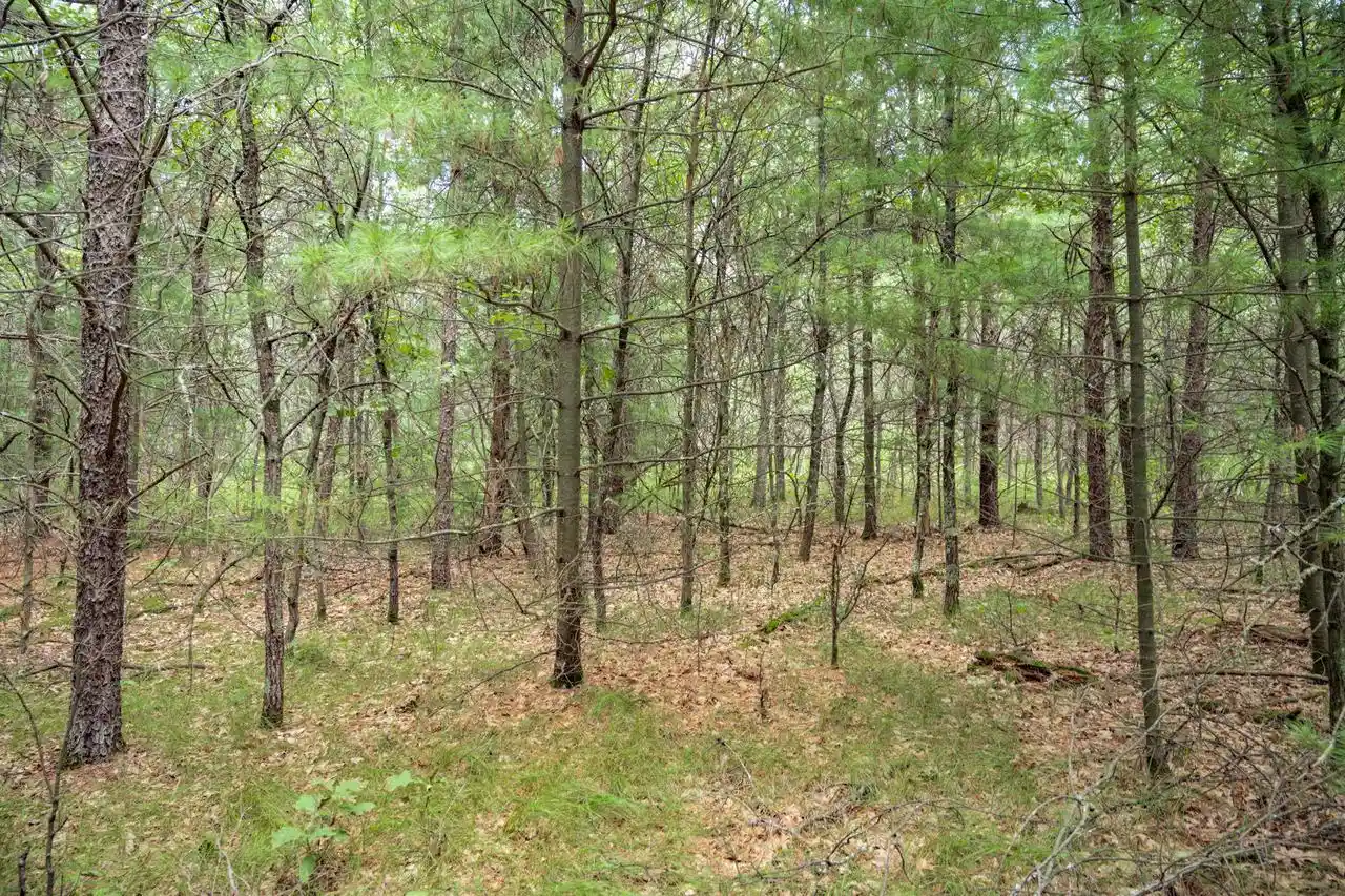 1st image of Lot 44 Morros Mile Road Road, Necedah, WI 54646 | MLS# 2030862