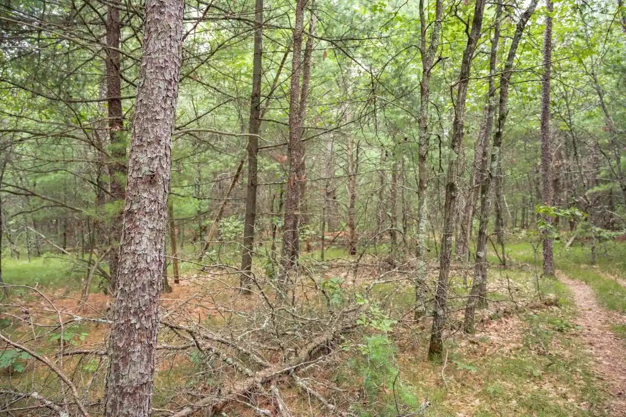 2nd image of Lot 44 Morros Mile Road Road, Necedah, WI 54646 | MLS# 2030862