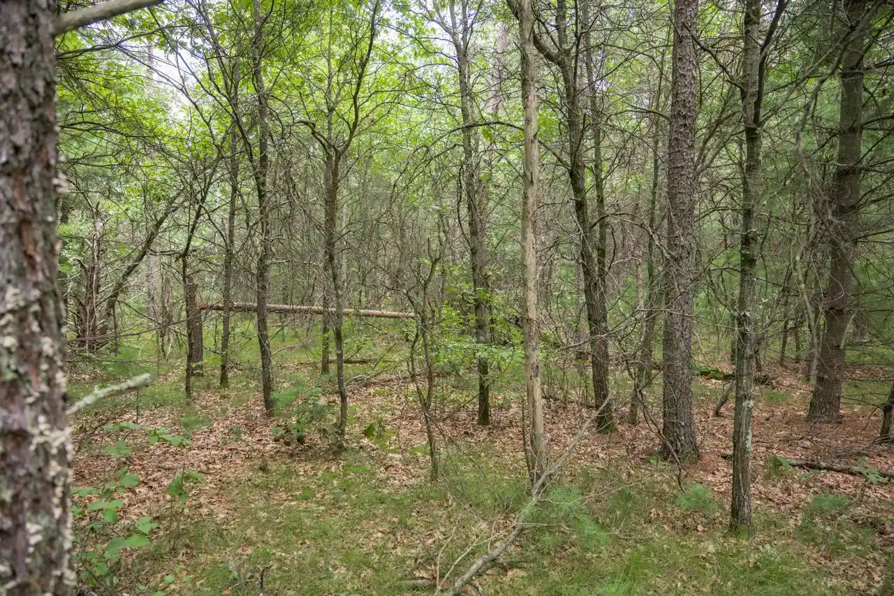 3rd image of Lot 44 Morros Mile Road Road, Necedah, WI 54646 | MLS# 2030862
