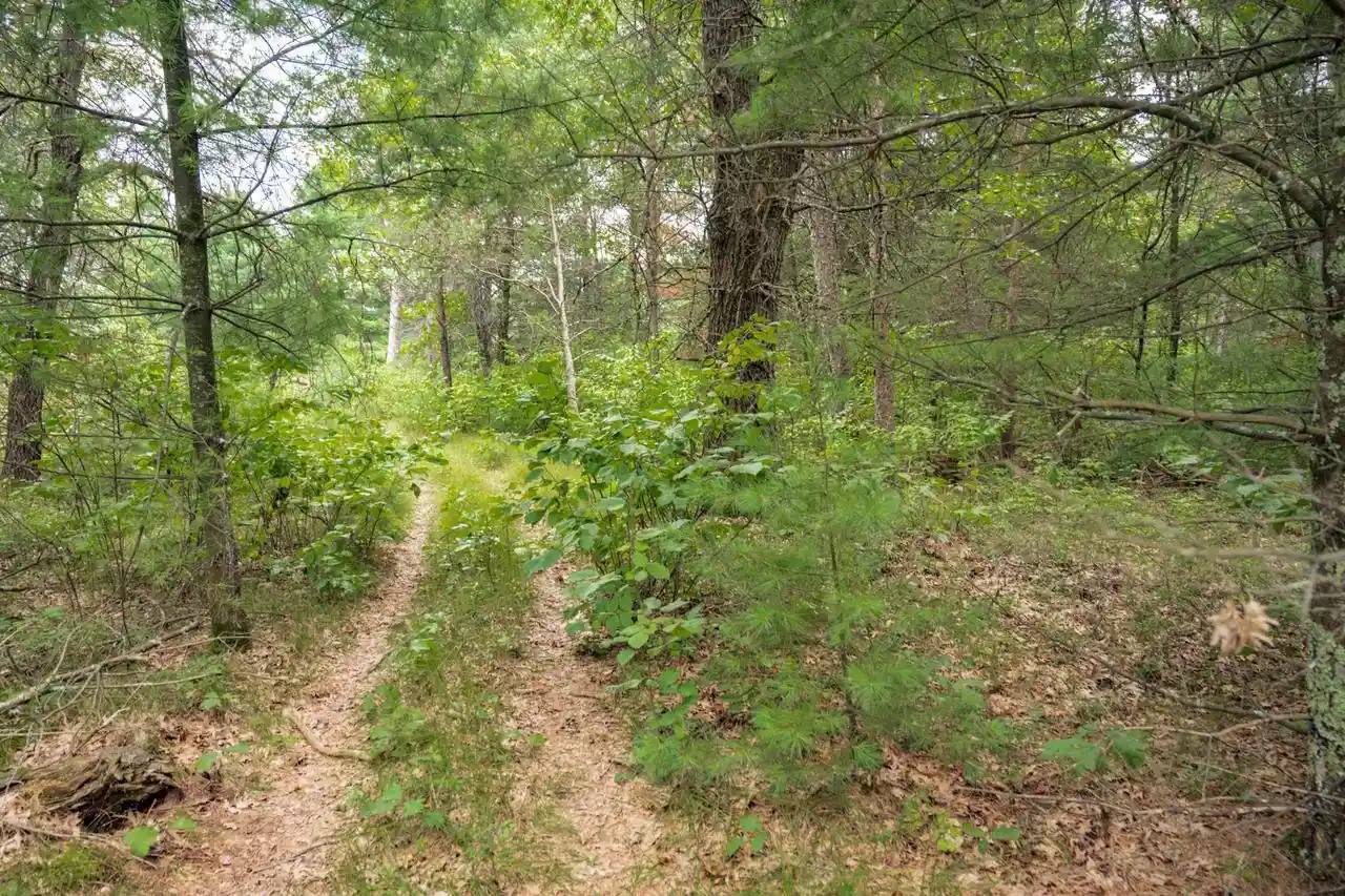 5th image of Lot 44 Morros Mile Road Road, Necedah, WI 54646 | MLS# 2030862