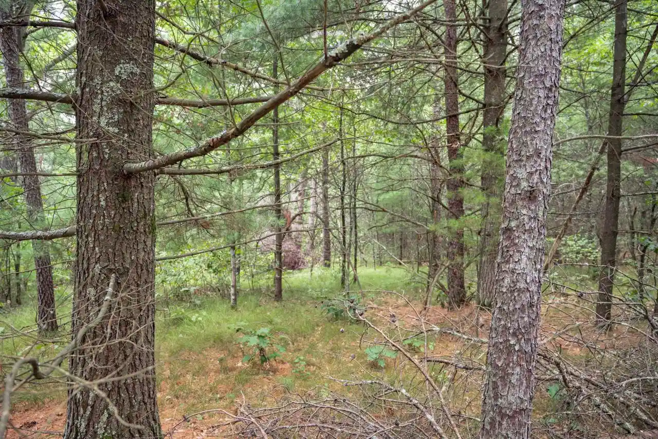 28th image of Lot 44 Morros Mile Road Road, Necedah, WI 54646 | MLS# 2030862