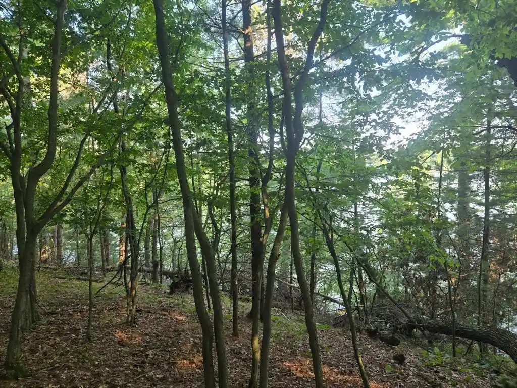 1st image of Lot 2 75th Ave, Chippewa Falls, WI 54729 | MLS# 1604378