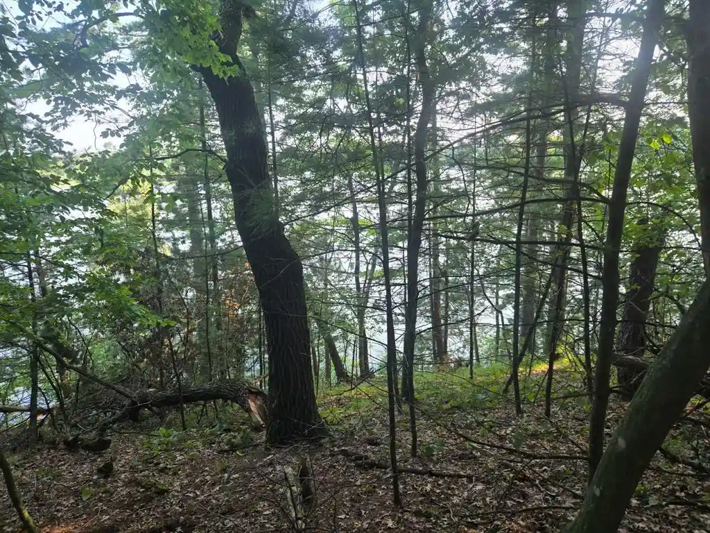 2nd image of Lot 2 75th Ave, Chippewa Falls, WI 54729 | MLS# 1604378
