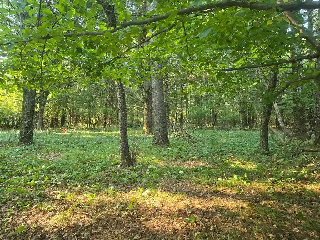 3rd image of Lot 2 75Th Ave, Chippewa Falls, WI 54729 | MLS# 1604378