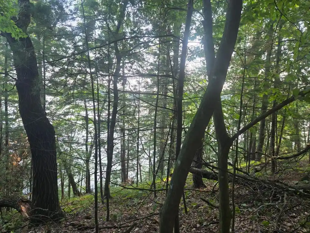 4th image of Lot 2 75Th Ave, Chippewa Falls, WI 54729 | MLS# 1604378