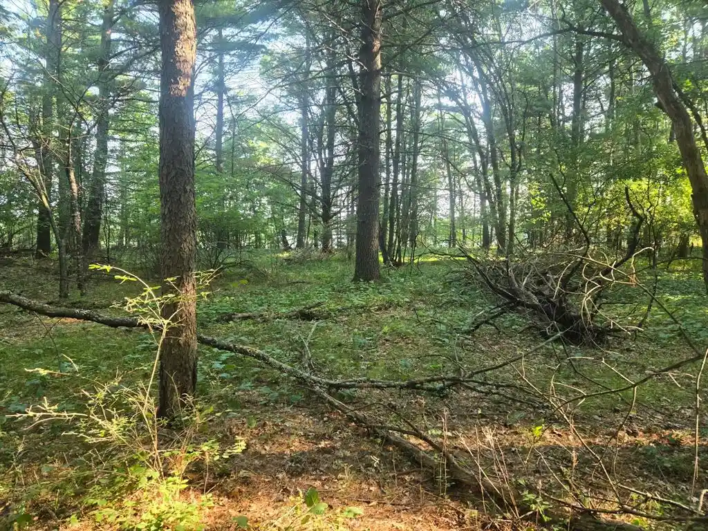 5th image of Lot 2 75th Ave, Chippewa Falls, WI 54729 | MLS# 1604378
