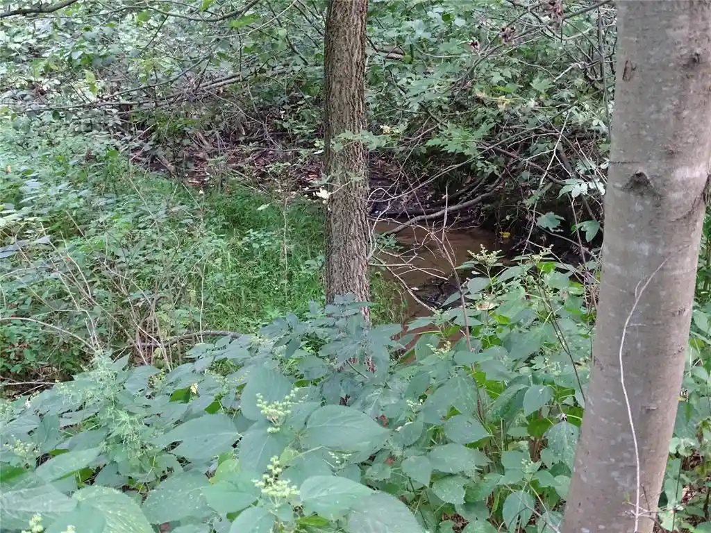 Photo 3 of Land for sale at 000 810th, Mondovi, WI 54755 | MLS# 1604269 | Listing updated on 2026-09-02