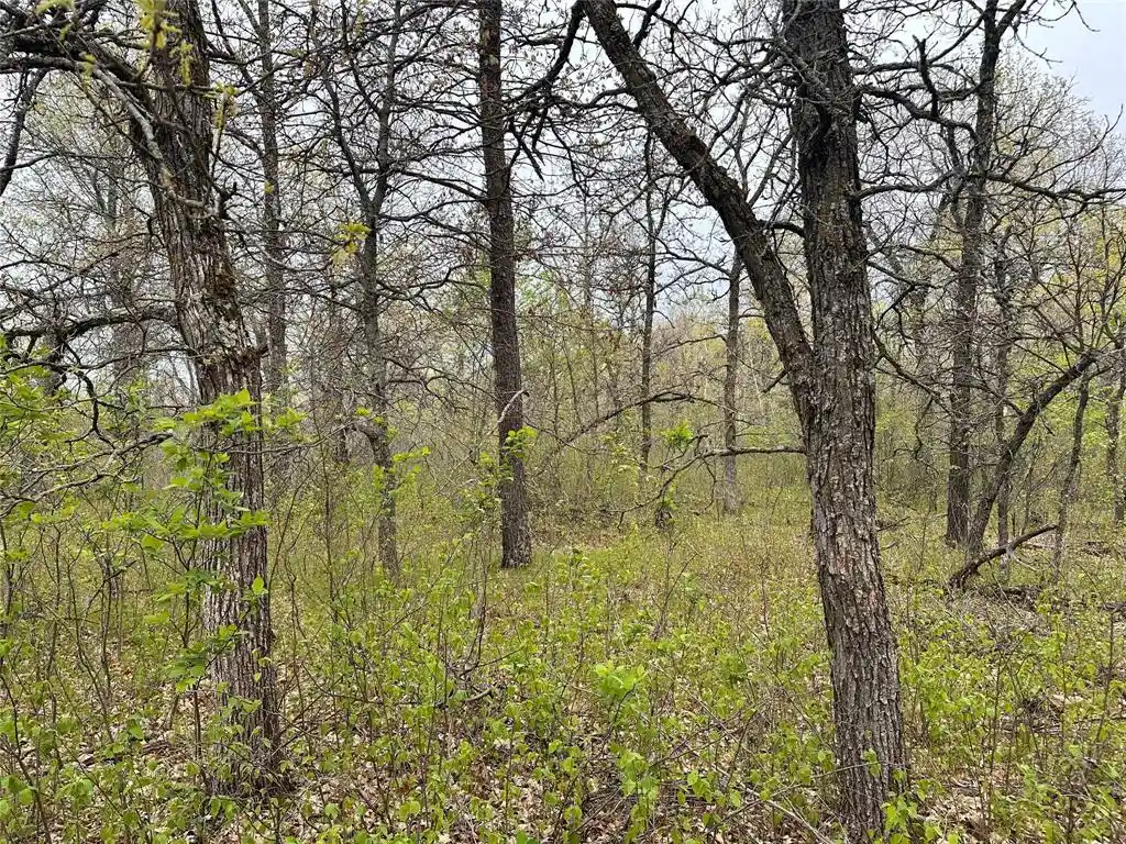 2nd image of Xx 295th Ave, Cushing, WI 54006 | MLS# 1604388