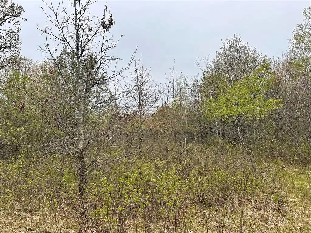 3rd image of Xx 295Th Ave, Cushing, WI 54006 | MLS# 1604388