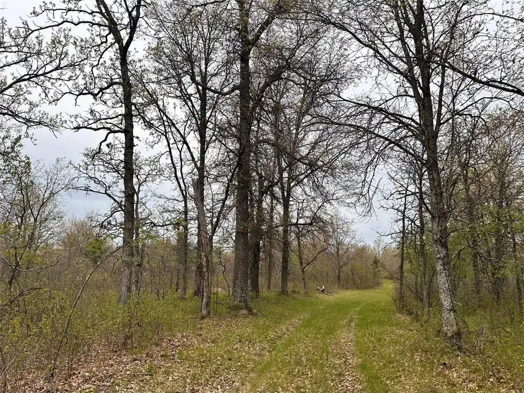 4th image of Xx 295Th Ave, Cushing, WI 54006 | MLS# 1604388