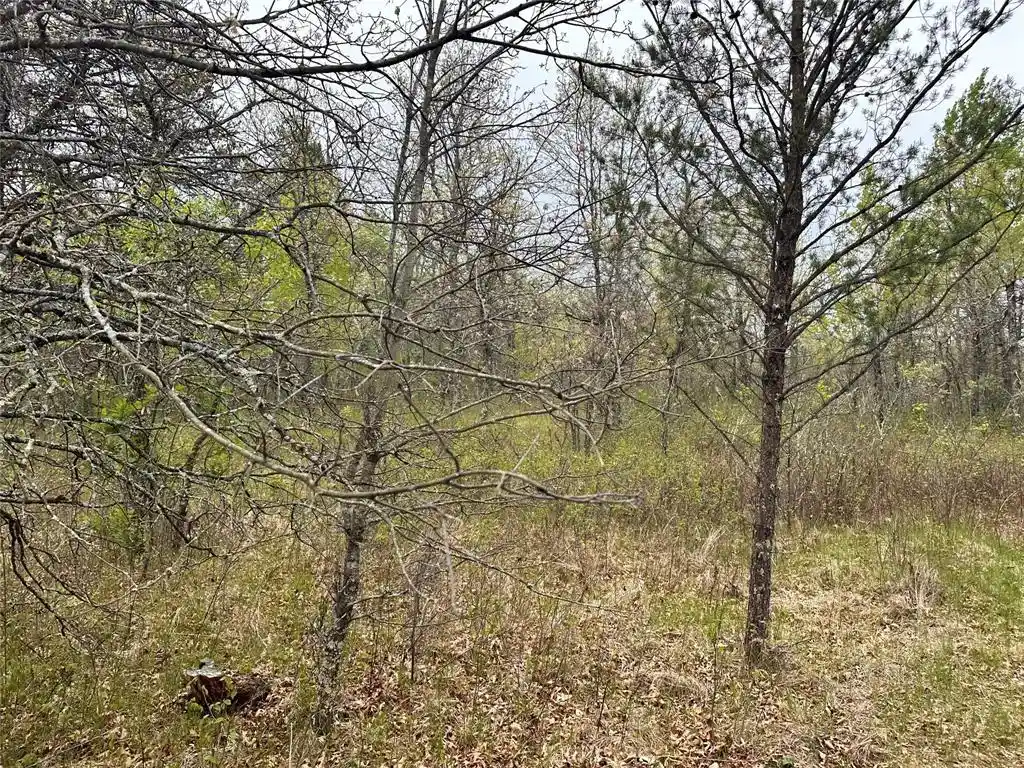 5th image of Xx 295Th Ave, Cushing, WI 54006 | MLS# 1604388