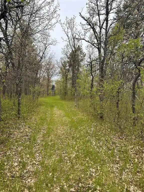 19th image of Xx 295th Ave, Cushing, WI 54006 | MLS# 1604388