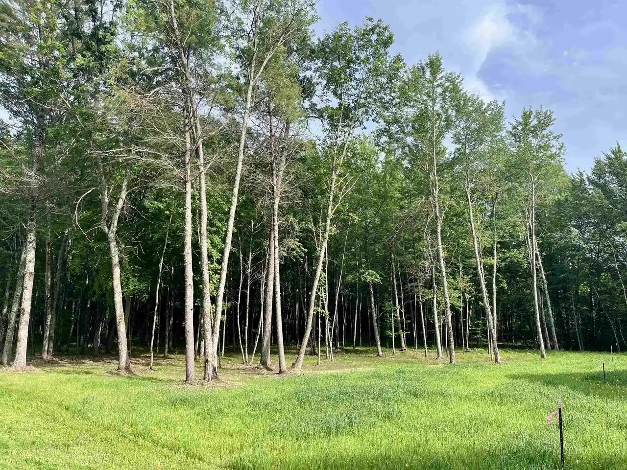1st image of Carrie Lane Lane, Pound, WI 54161 | MLS# 50331263