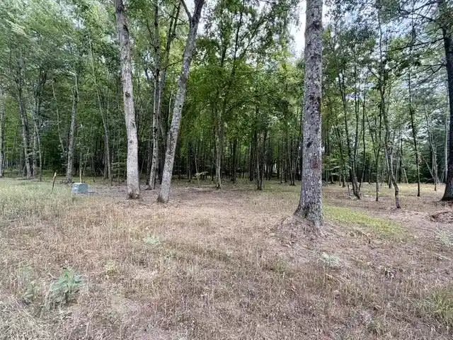 Photo 3 of Land for sale at Carrie Lane Lane, Pound, WI 54161 | MLS# 50331263 | Listing updated on 2026-09-12